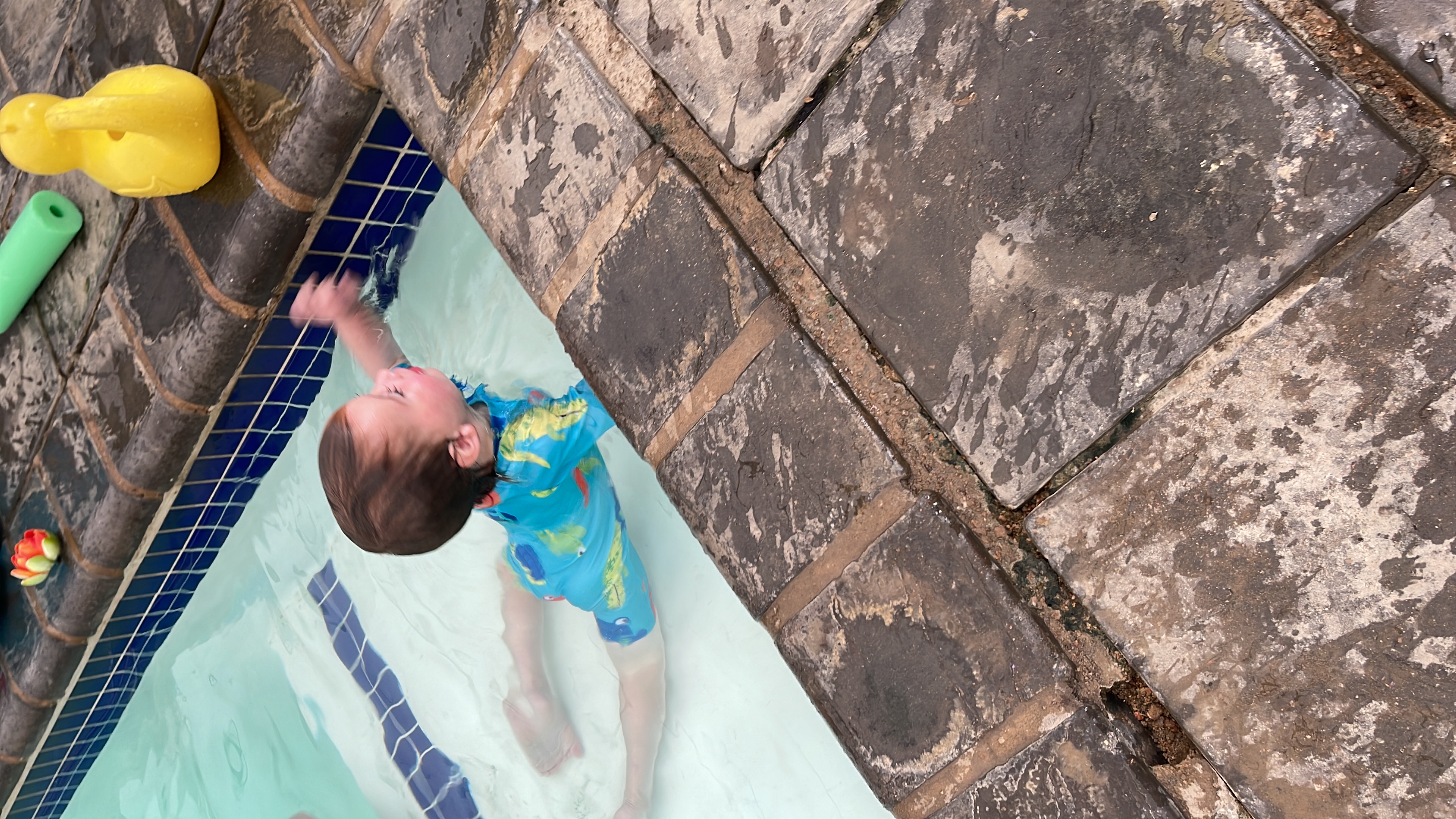 632E5930-8CEC-4E47-B699-F389B10D659E